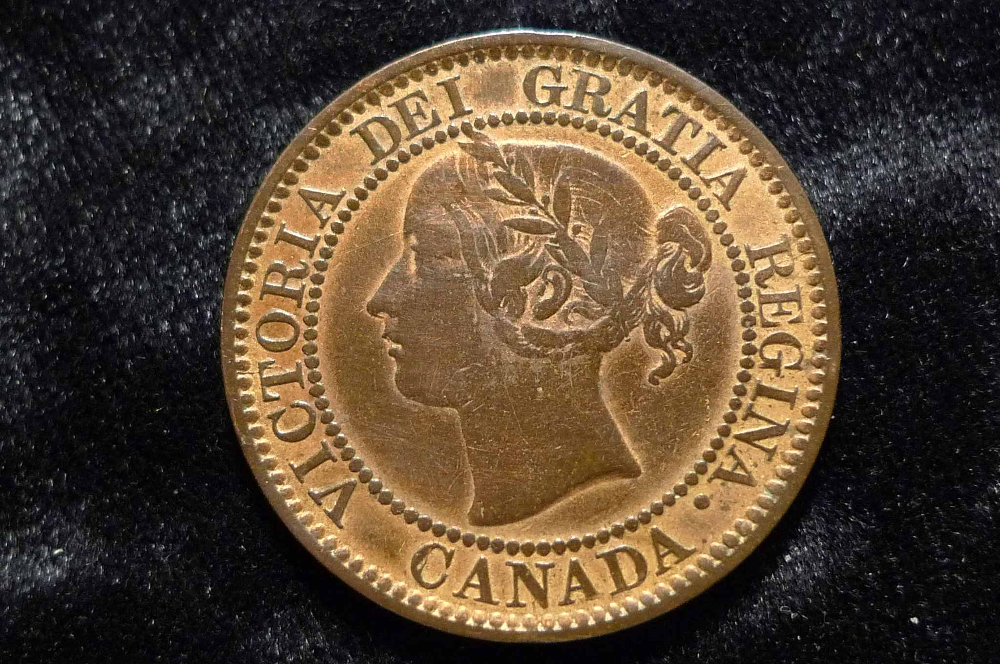 Yet-Another-Forum-Game---Numismatic-Go-Fish!