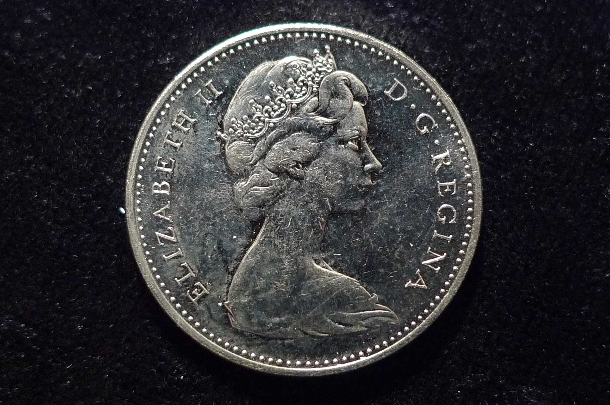 Post-Your-Rabbit-Coins