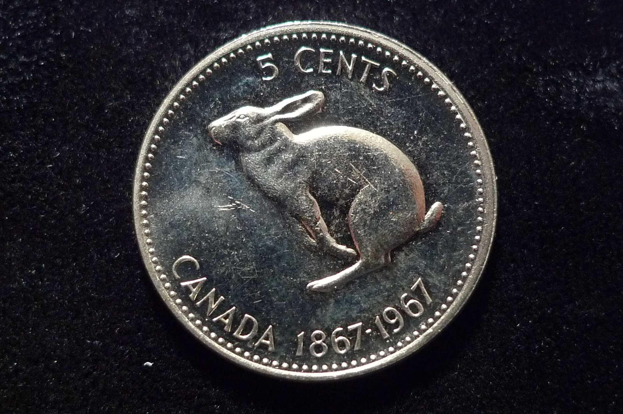 Post-Your-Rabbit-Coins