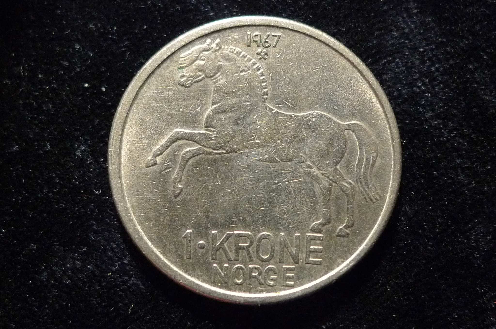 Post-Your-Coins-With-Horses
