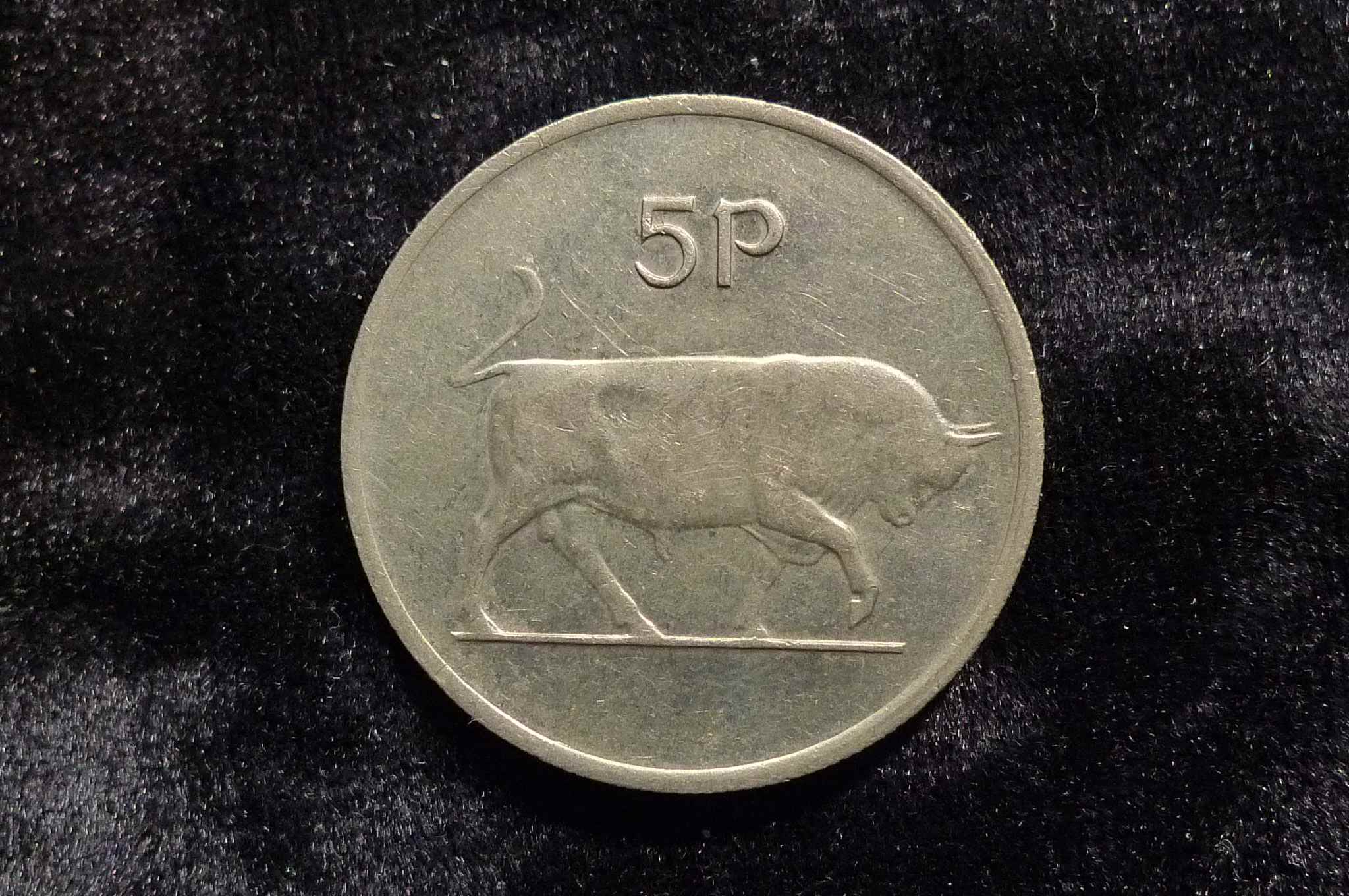 Post-Your-Coins-Representing-The-Animal-Kingdom.