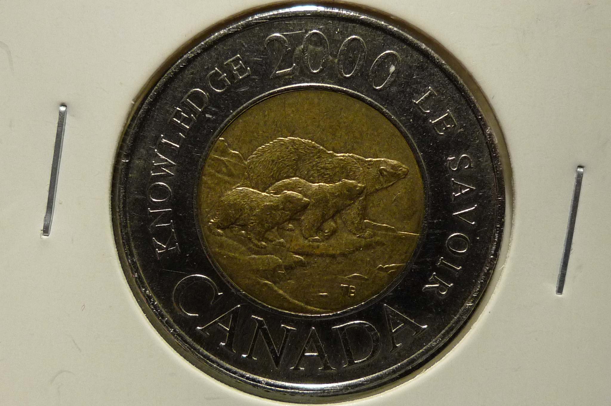 Post-Your-Coins-With-Hats