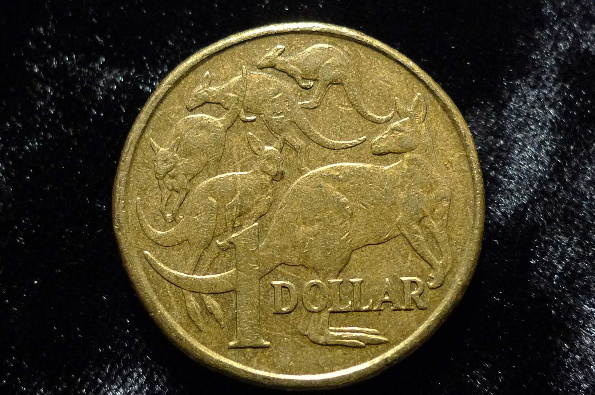 Post-Your-Coins-Representing-The-Animal-Kingdom.