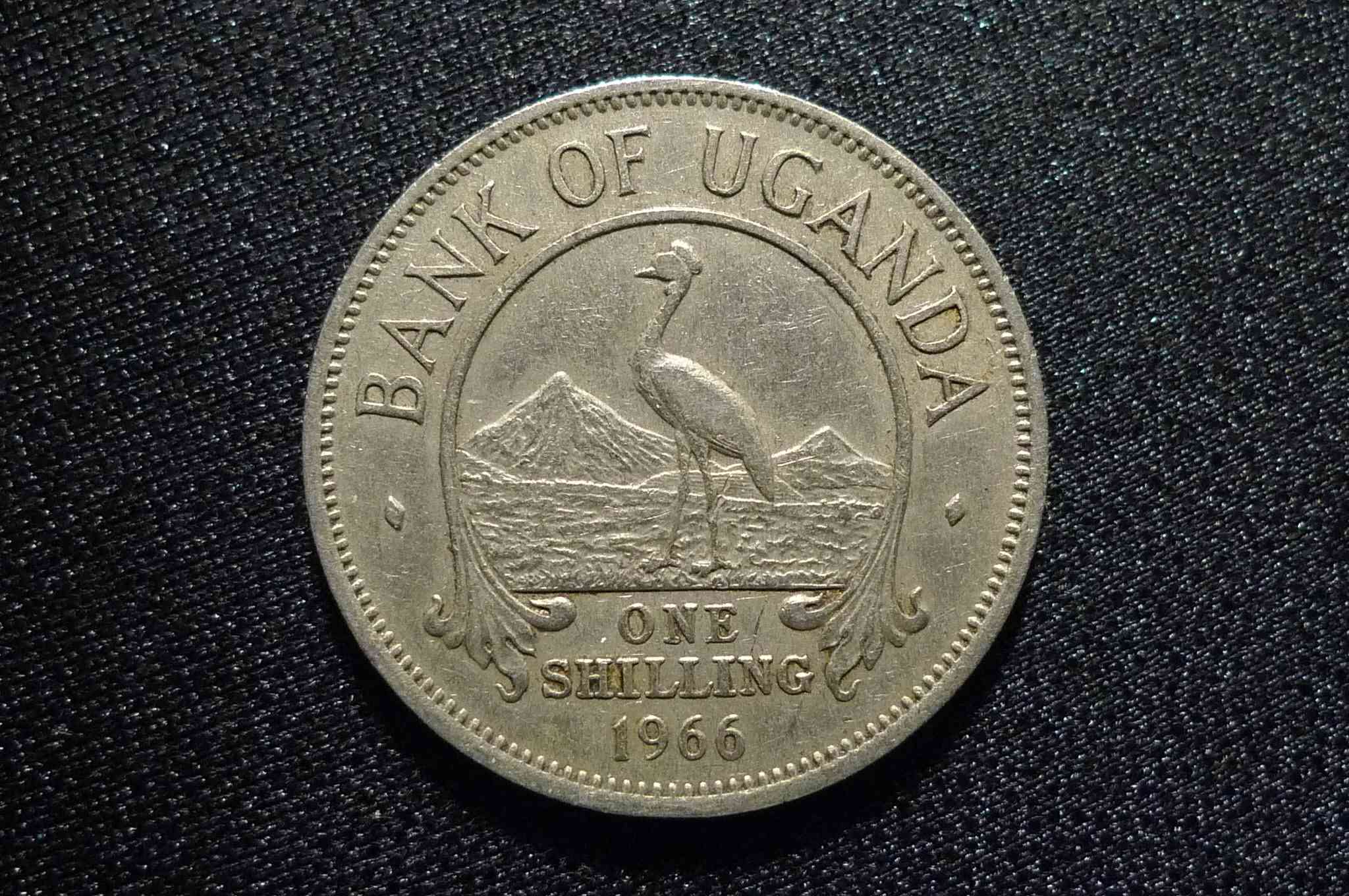 Post-Your-Volcano-And-Mountain-Coins