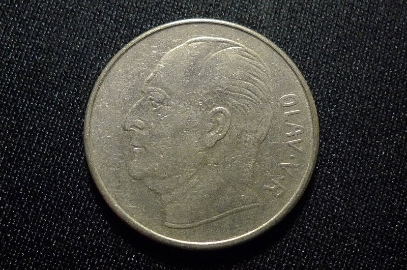 Post-Your-Coins-With-Horses