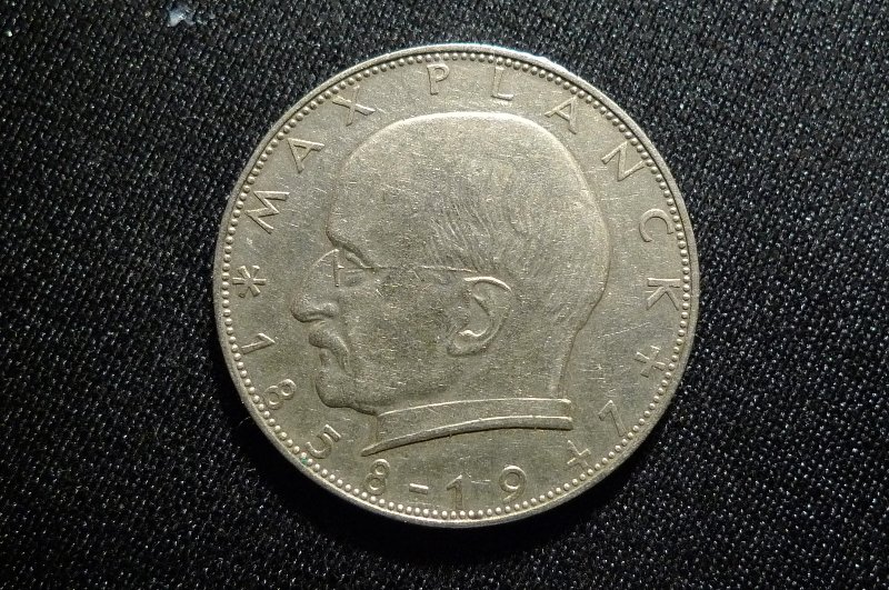 Post-Your-Coins-Representing-The-Animal-Kingdom.