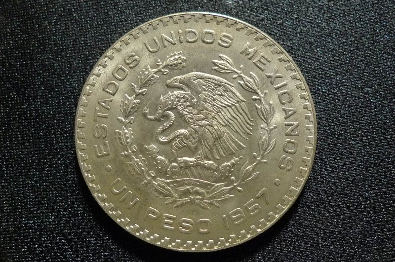 Post-Your-Bird-Coins