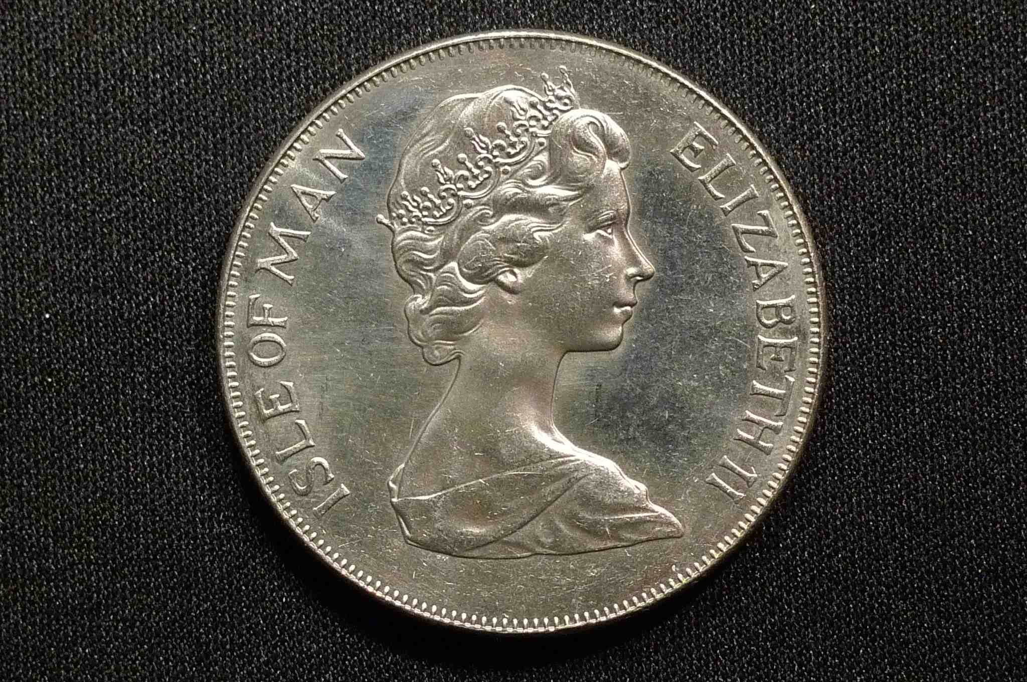 Post-Your-Bird-Coins
