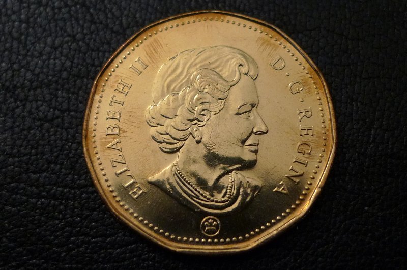 Post-Your-Bird-Coins