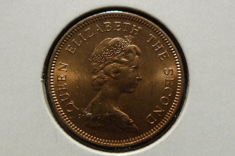 Post-Your-Bird-Coins