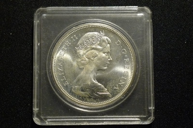 Post-Your-Bird-Coins