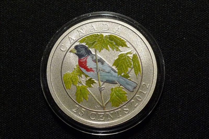 Post-Your-Bird-Coins