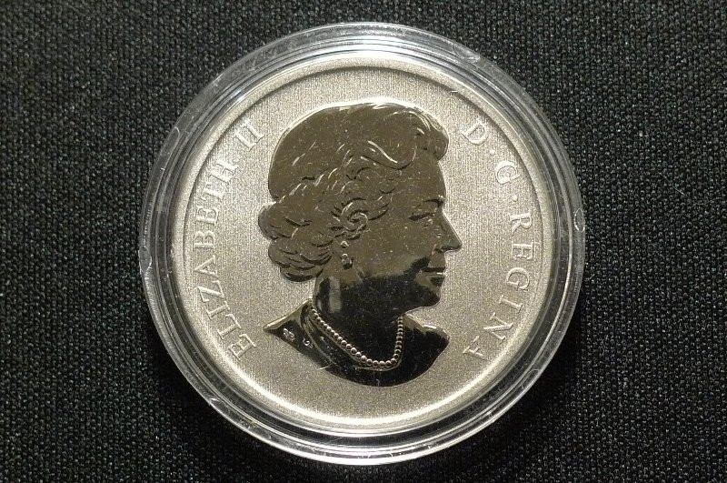 Post-Your-Bird-Coins