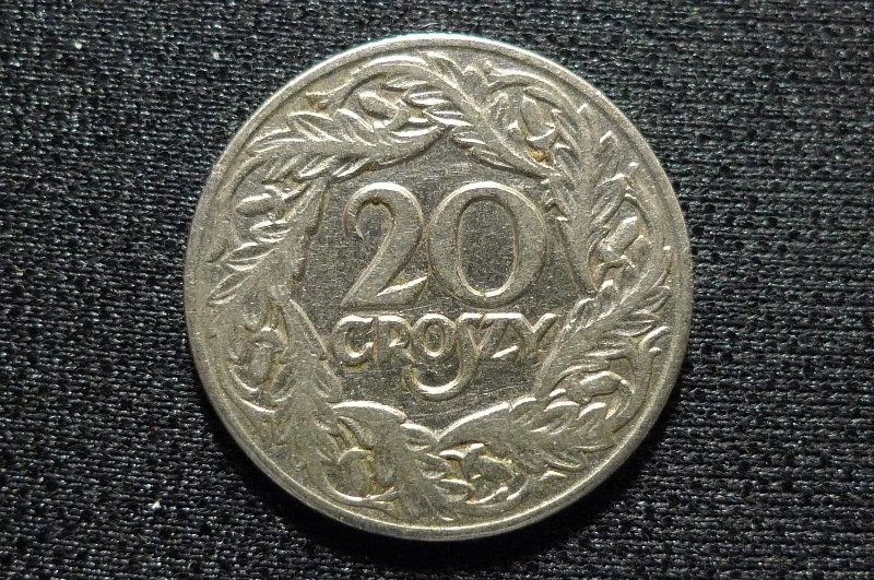 Post-Your-Bird-Coins