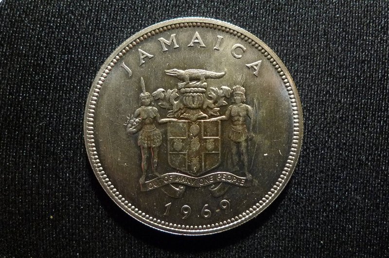 Post-Your-Bird-Coins