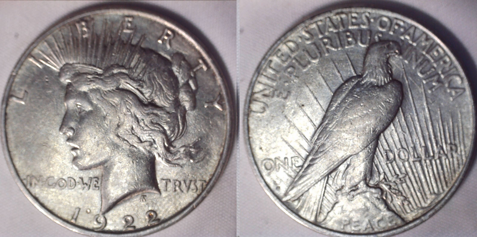 Are-These-Peace-Dollars-Worth-Grading?