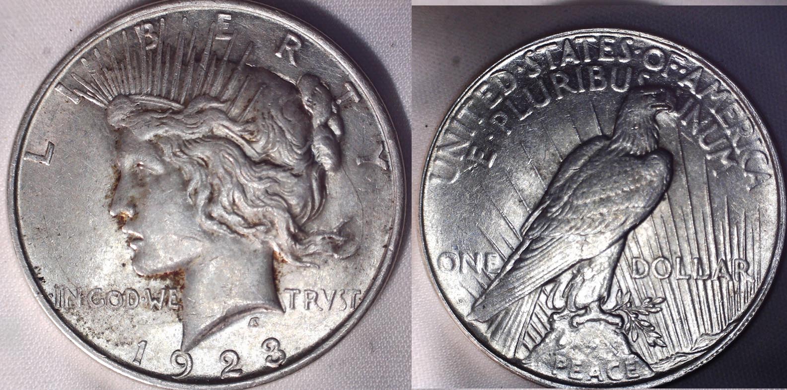 Are-These-Peace-Dollars-Worth-Grading?