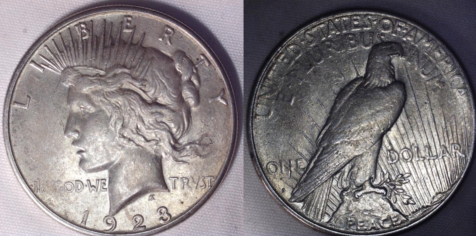 Are-These-Peace-Dollars-Worth-Grading?
