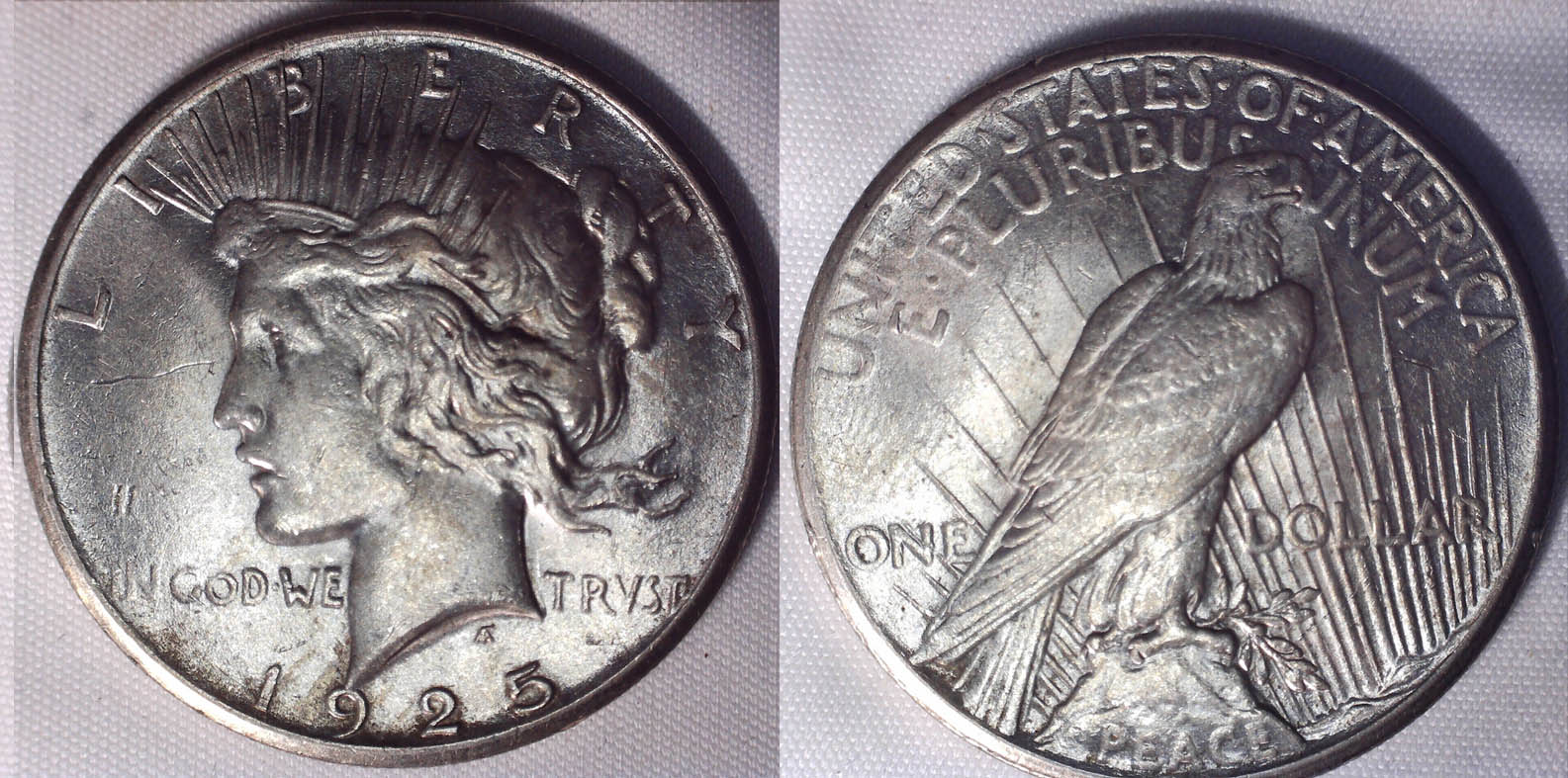 Are-These-Peace-Dollars-Worth-Grading?
