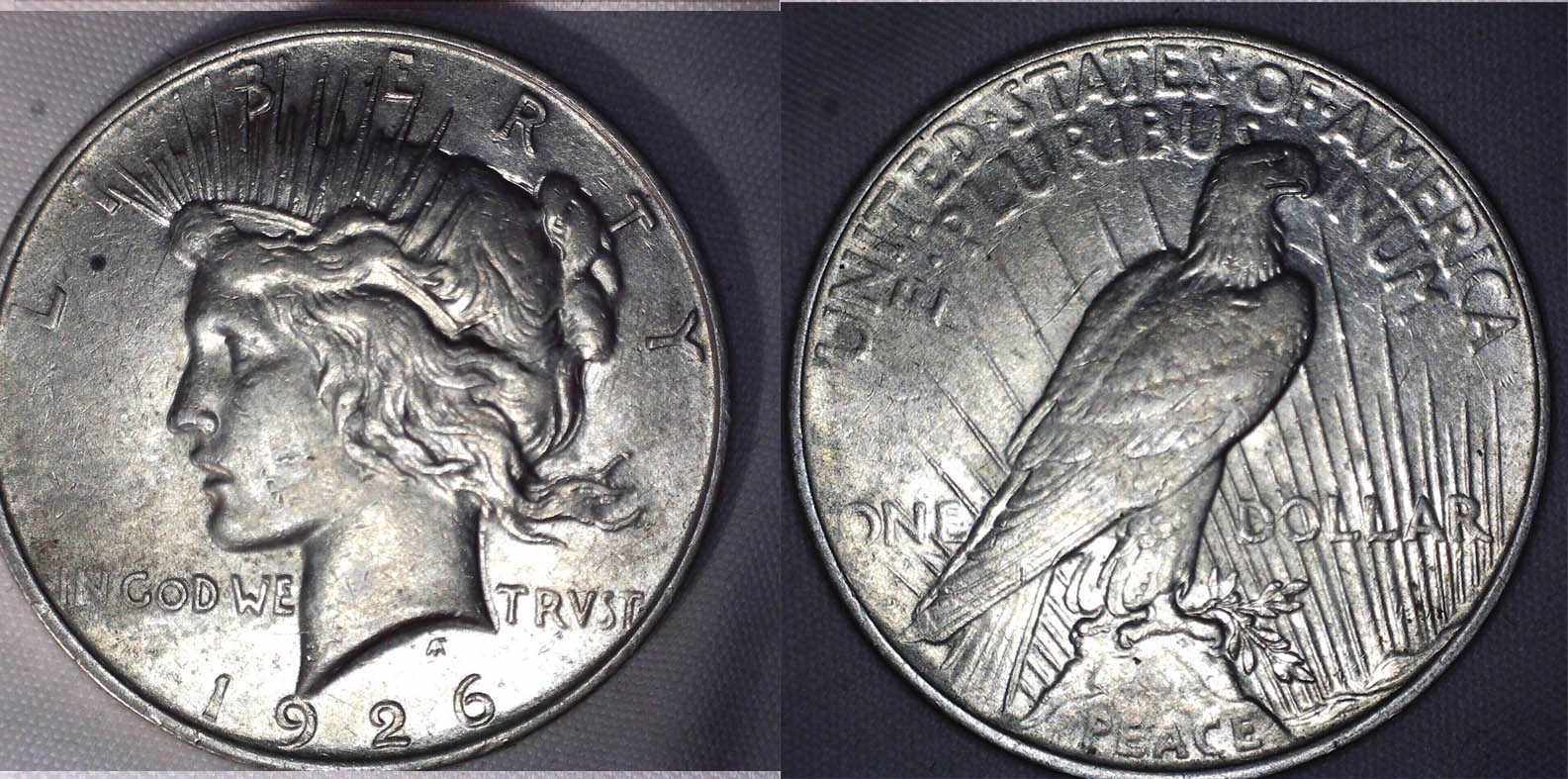 Are-These-Peace-Dollars-Worth-Grading?
