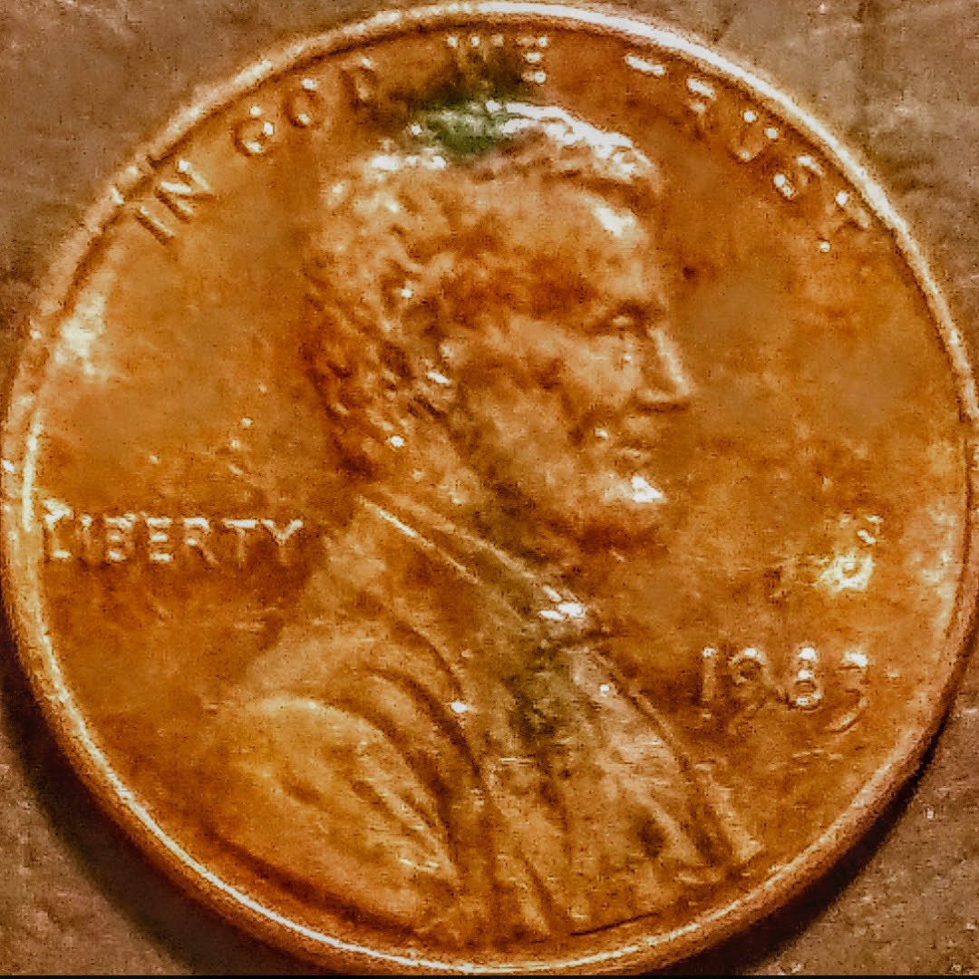 1983-P-1-DO-001-LMC.-Opinions-Requested.