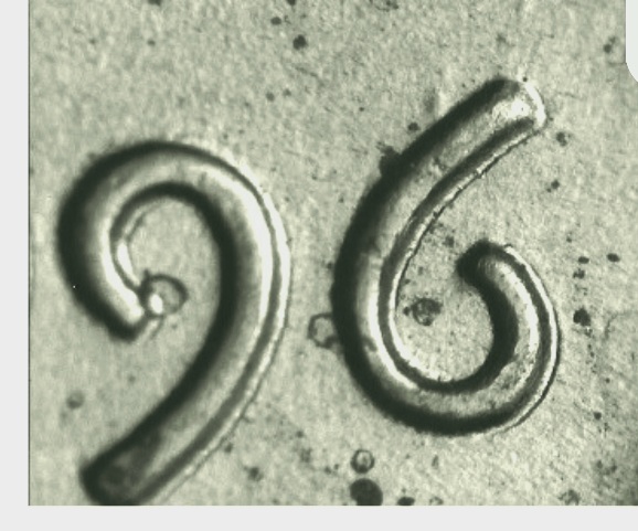 What-Is-The-Main-Distinguishing--Factor-Between-An-Actual-Doubled-Die-And-MD?