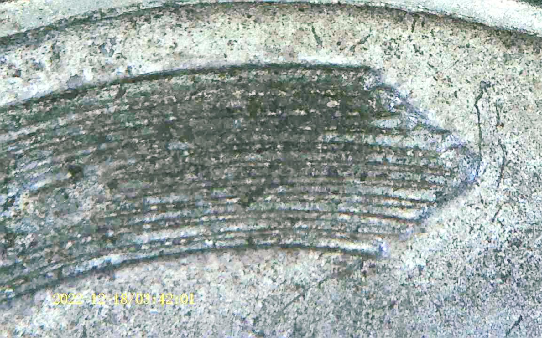 1943-LWC-With-Strong-Class-VI-Reverse