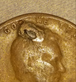 Possible-Major-Cud-Or-Just-PMD?