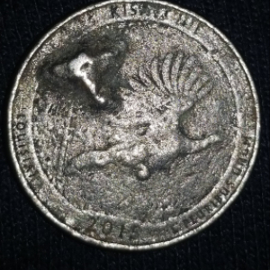 No-Idea-Wats-Going-On-W-This-2015-Quarter