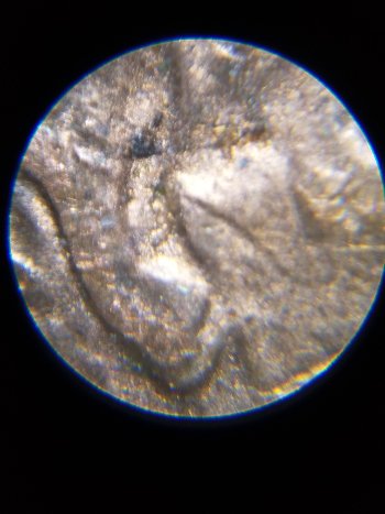 Questions-On-This-1988-Penny