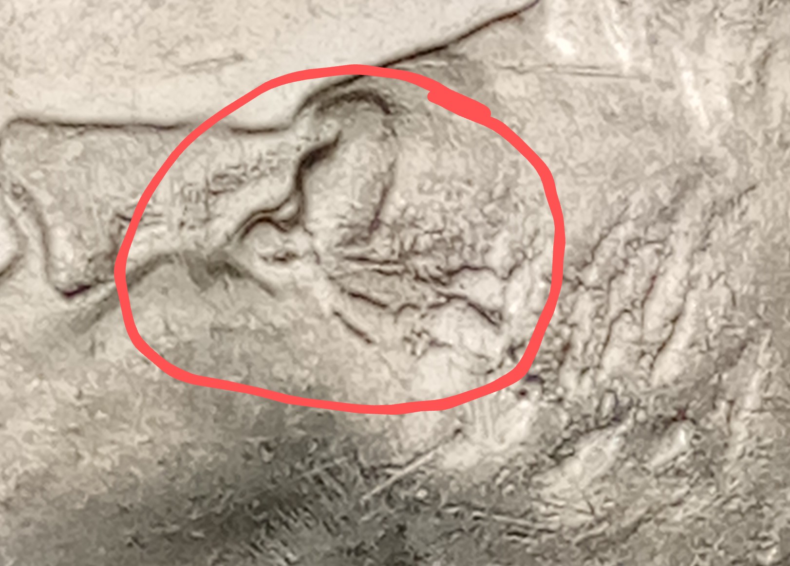 Found-A-1971-D-Half-Dollar-With-Marks-In-Between-Lettering-And-The-Date?