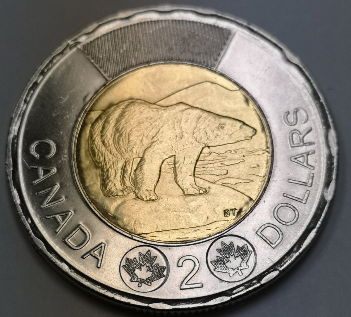 2017-Gitd-Toonie-Snow-Caps?-&-Cud-Errors?