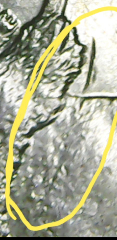 2005-Buffalo-Nickel.-Half-Spear-Error?