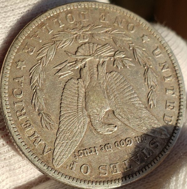 Couple-Morgan-Dollars-To-Check