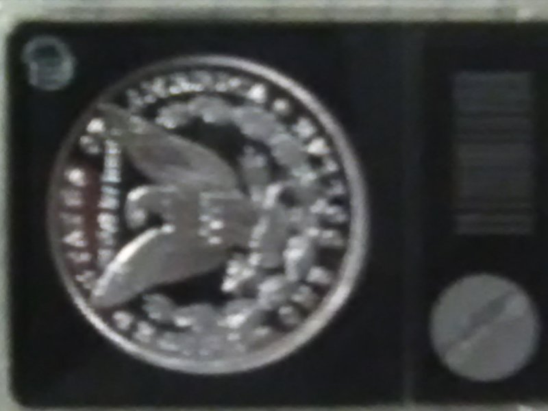 1878-P-VAM-14.11-Wild-Eye-Spikes-Replica