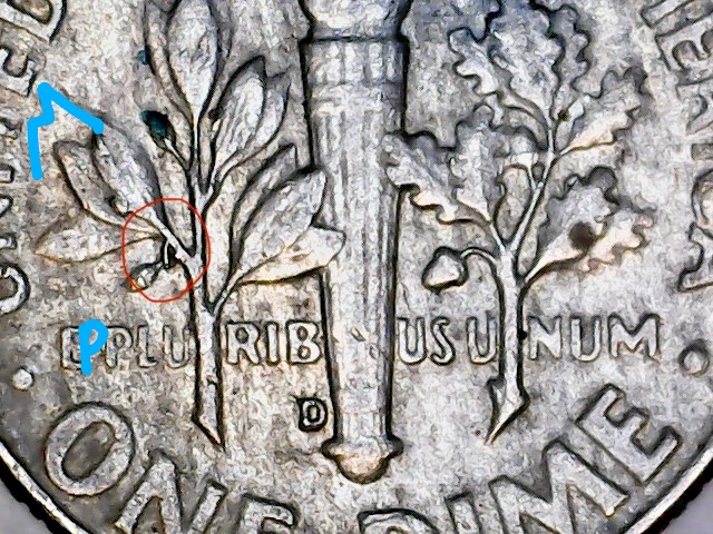 1964--D-Roosevelt-Dime--New-Olive-Branch-Or-Reverse-Die-Error-?