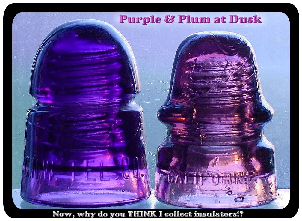 Just-Back-From-The-Best-Annual-Insulator-Show