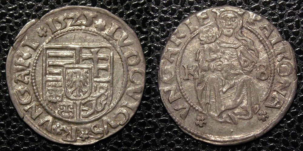 Hungarian-Denar-New-Purchases
