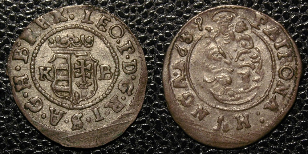 Hungarian-Denar-New-Purchases-After-1600