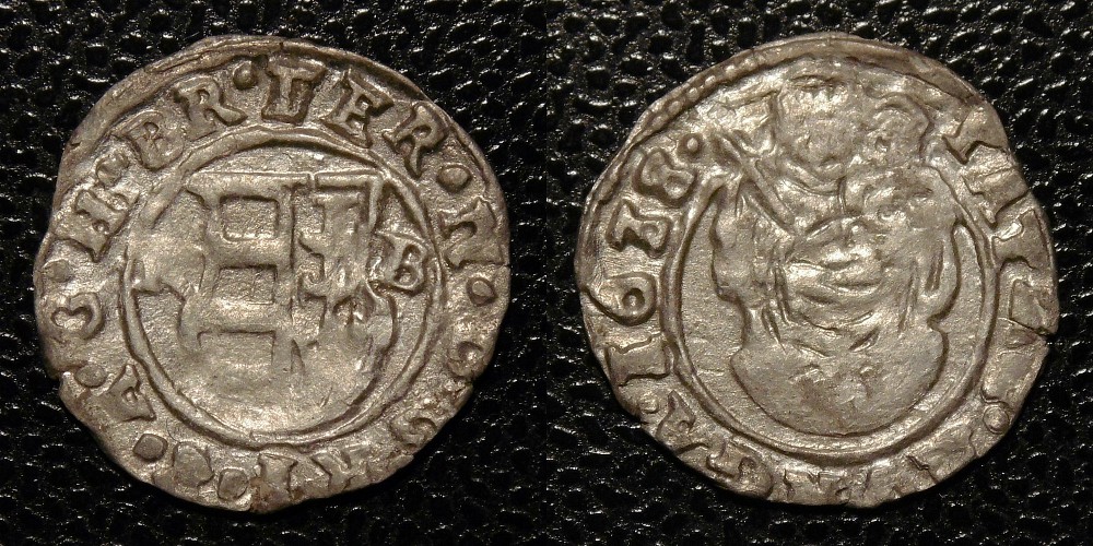 Hungarian-Denar-New-Purchases-After-1600