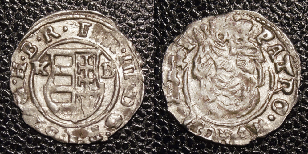 Hungarian-Denar-New-Purchases-After-1600