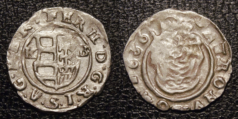 Hungarian-Denar-New-Purchases-After-1600