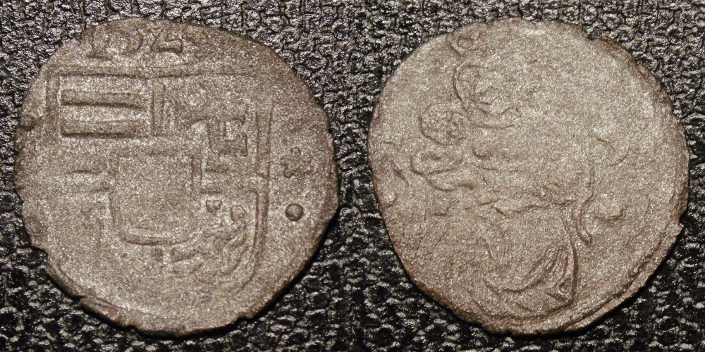 Hungarian-Denar-New-Purchases