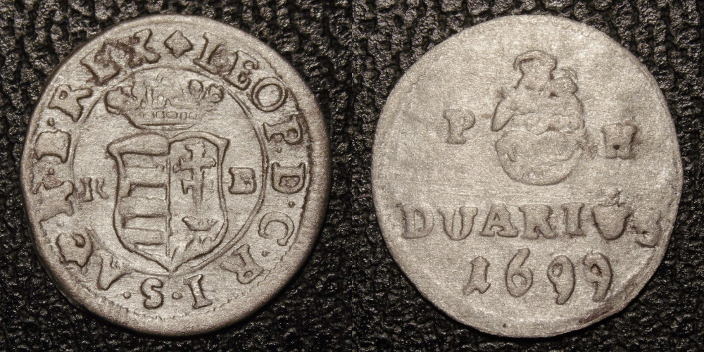 Hungarian-Denar-New-Purchases-After-1600