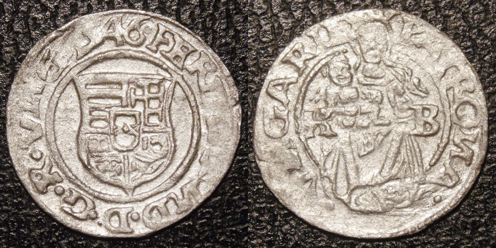 Hungarian-Denar-New-Purchases