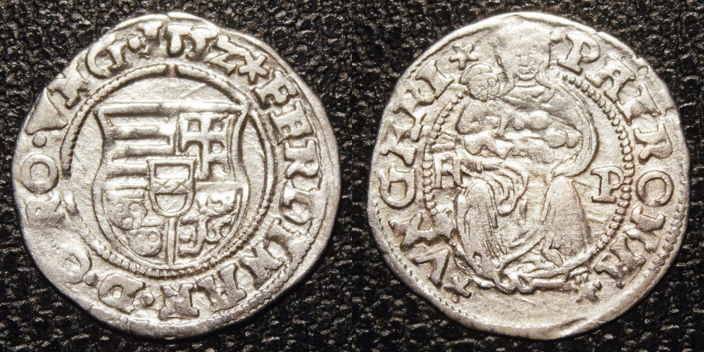 Hungarian-Denar-New-Purchases