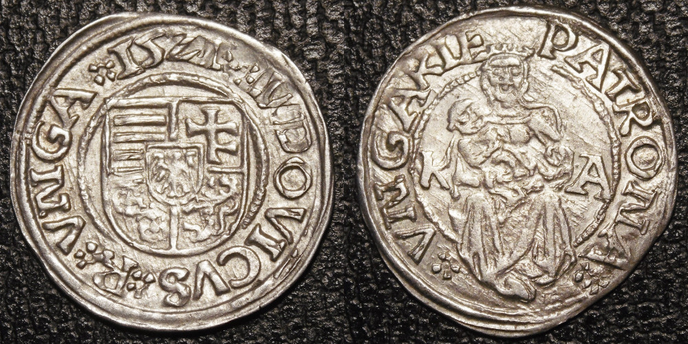 Hungarian-Denar-New-Purchases