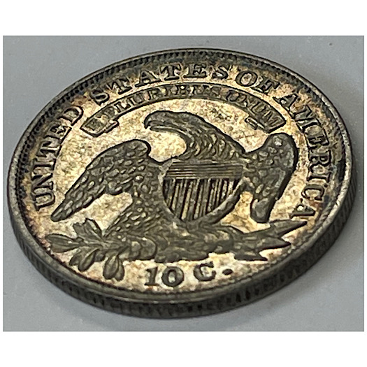 1833-Dime---What-Do-You-Think-It-Grades?