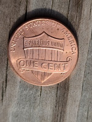 2021-Penny--Struck-Thru-Possibly?