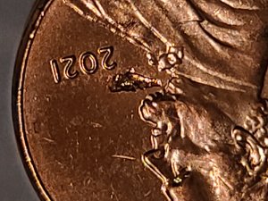 2021-Penny--Struck-Thru-Possibly?